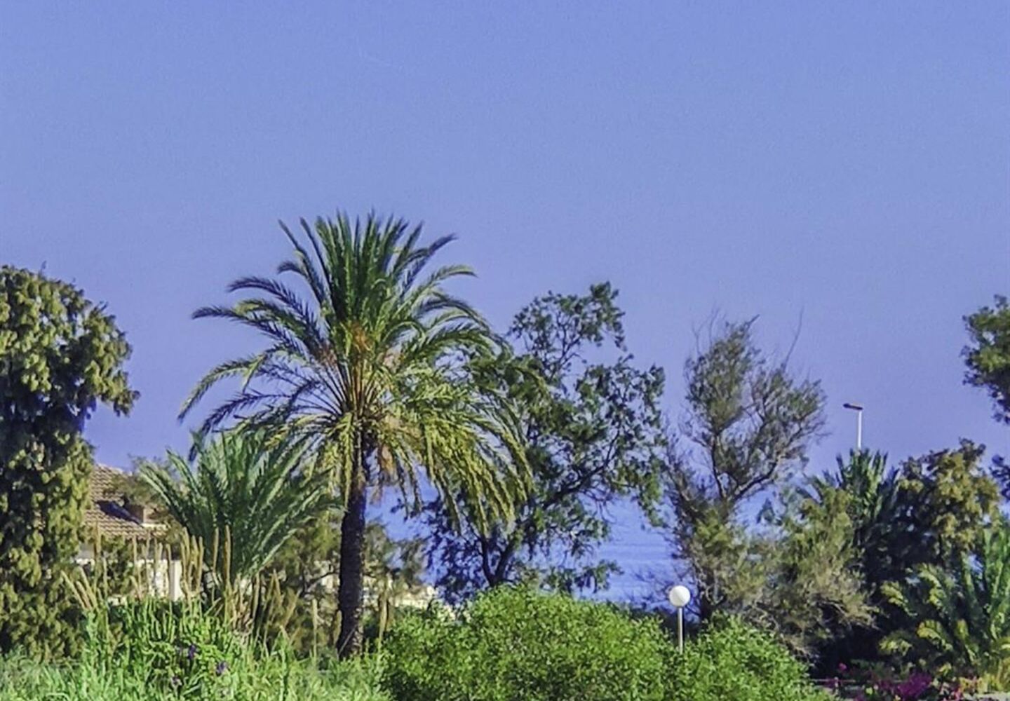 Maison à vendre à Punta Prima