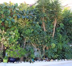 Huis te koop in Moraira